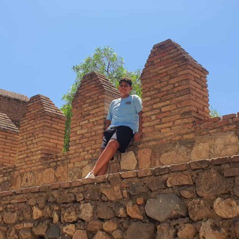 תאופיק סבאח